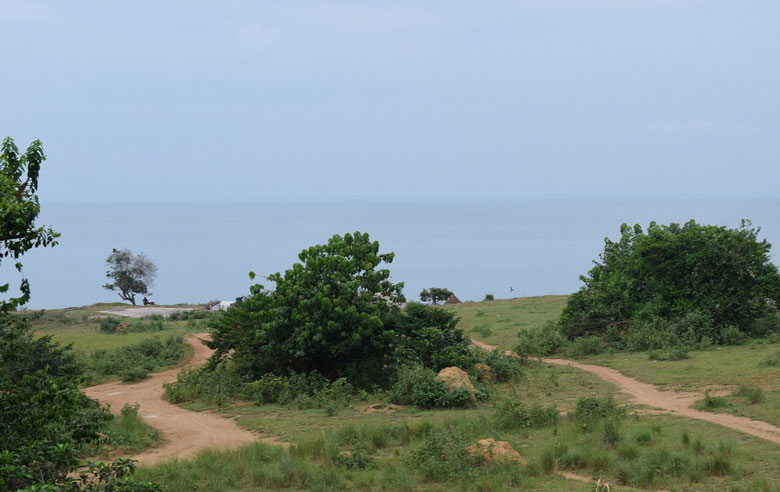 How to invest in real estate in Uganda